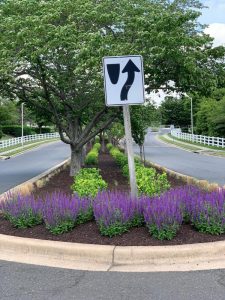 Median Beds Landscaping